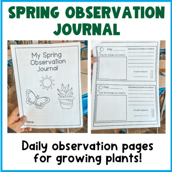 Plant Observation | daily journal for students